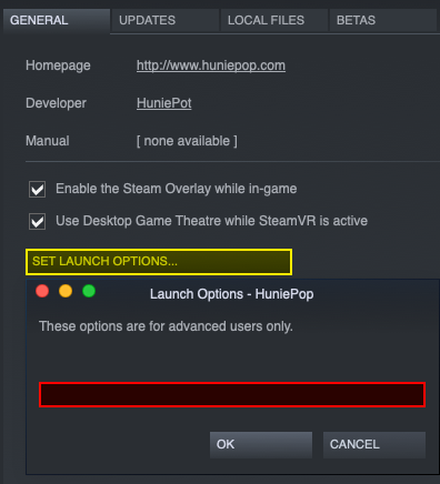 Click Set launch options to set launch options